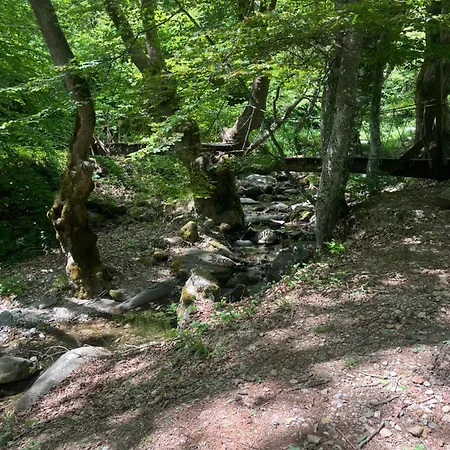 Elatovillage Διαμέρισμα Ελατοχώρι