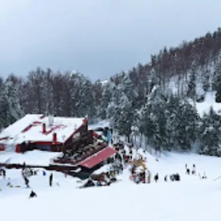 Elatovillage Διαμέρισμα Ελατοχώρι