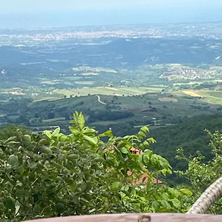 Elatovillage *