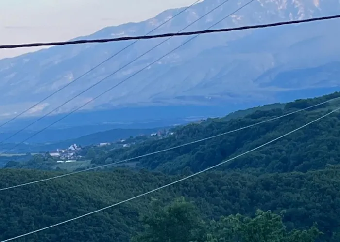 Elatovillage *